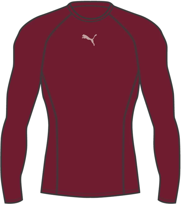 PUMA LIGA Baselayer Tee LS Größe XL Farbe Cordovan 4 PUMA LIGA Baselayer Tee LS Größe XL Farbe Cordovan – Bild 2