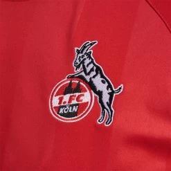 Hummel AUSWÄRTSTRIKOT 2022/2023 SENIOR Größe S -Sportbekleidung 55099 AUSWaeRTSTRIKOT 2022 2023 SENIOR 216418 3062 3 10224124