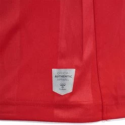 Hummel AUSWÄRTSTRIKOT 2022/2023 SENIOR Größe S -Sportbekleidung 55102 AUSWaeRTSTRIKOT 2022 2023 SENIOR 216418 3062 6 10224124