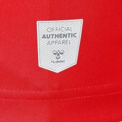 Hummel AUSWÄRTSTRIKOT 2022/2023 SENIOR Größe S -Sportbekleidung 55104 AUSWaeRTSTRIKOT 2022 2023 SENIOR 216418 3062 10 10224124