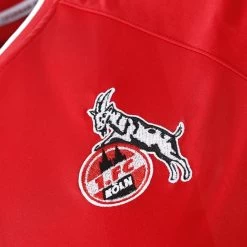 Hummel AUSWÄRTSTRIKOT 2022/2023 SENIOR Größe S -Sportbekleidung 55105 AUSWaeRTSTRIKOT 2022 2023 SENIOR 216419 3062 5 10224124