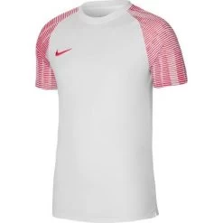 Nike Academy Trikot Größe L