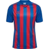 Hummel HmlCORE XK Striped Jersey Größe L Farbe Rot/blau 2 Hummel HmlCORE XK Striped Jersey Größe L Farbe Rot/blau -Sportbekleidung 56665 Hummel hmlCORE XK Striped Jersey 211458 7358 2 10224616